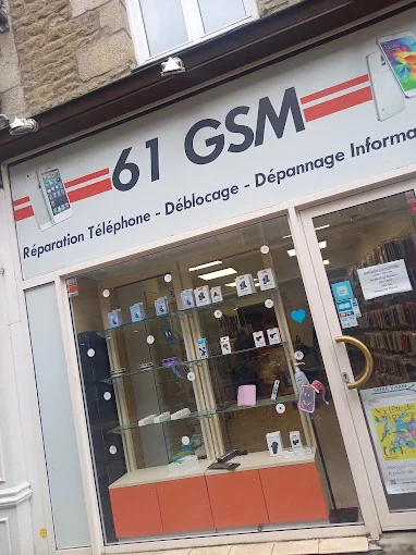 61 GSM